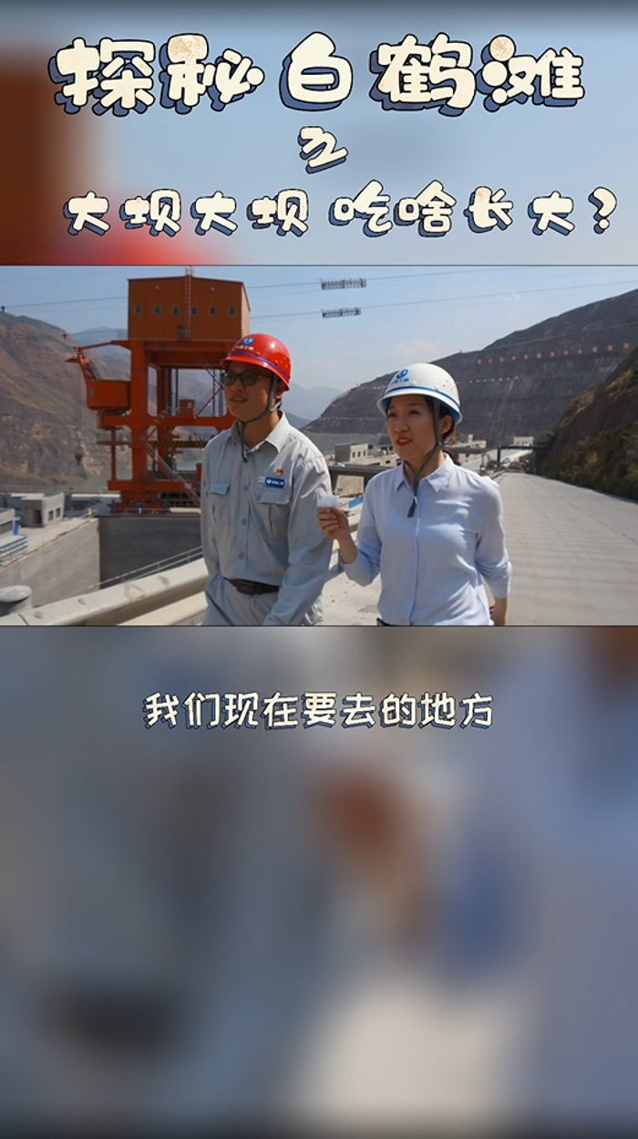 大壩大壩，吃啥長大？